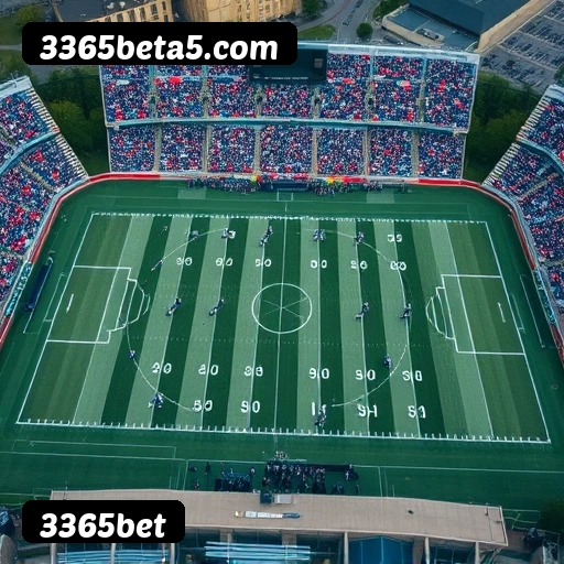 Níveis do programa VIP da 3365bet